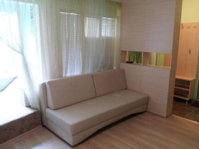 Apartments Vostochnaya 8/1